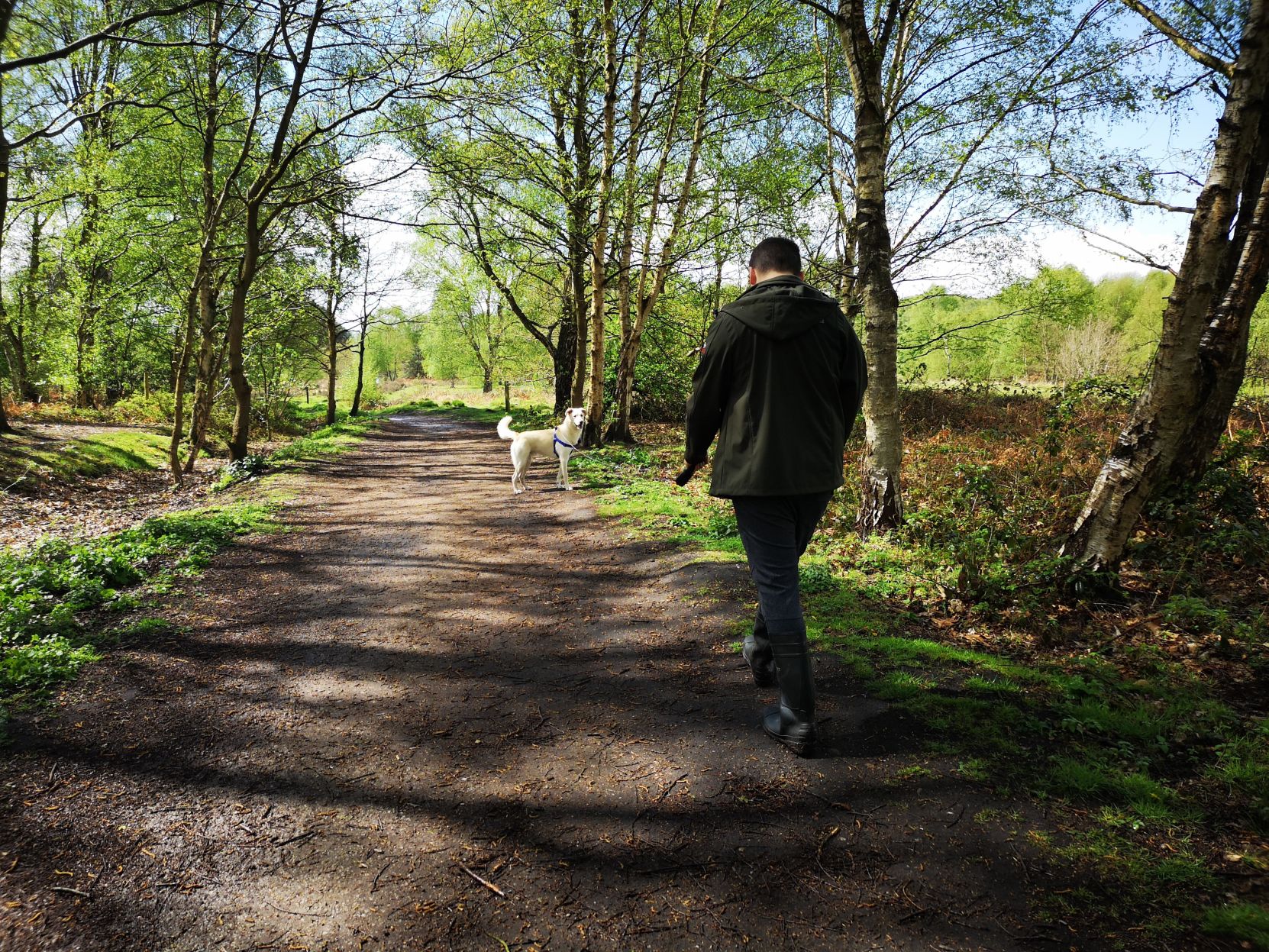 Unsplash - Beth Thompson-Guy Walking Dog.jpg